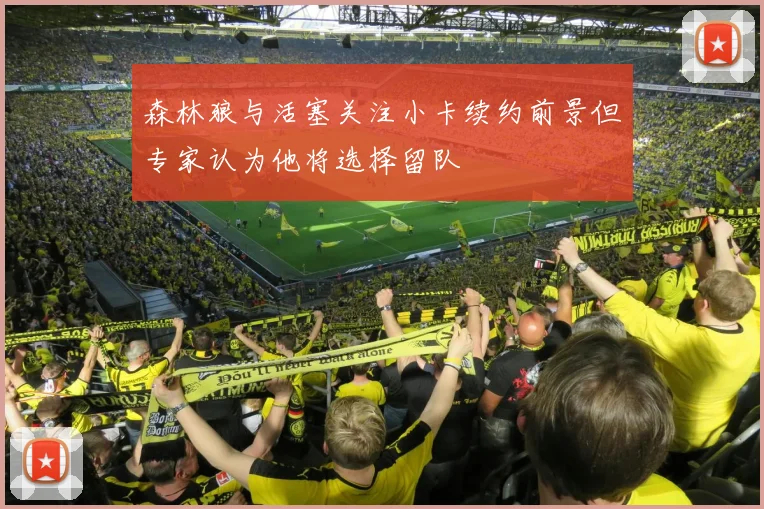 森林狼与活塞关注小卡续约前景但专家认为他将选择留队